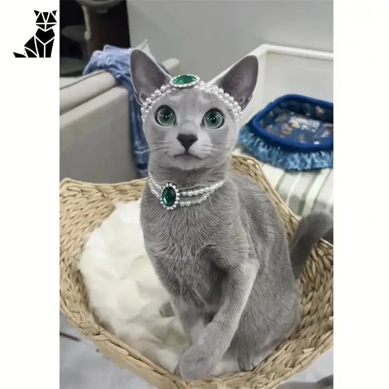 Gros plan d’un chat portant un diadème sur un lit avec un collier de luxe pour chat pour les occasions spéciales