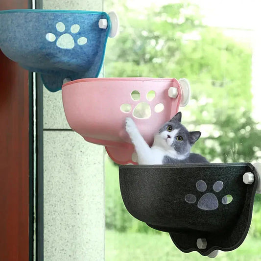 Chat se prélassant dans le bol de fenêtre de Comfort Window Hammock for Cats - Panoramic Vue