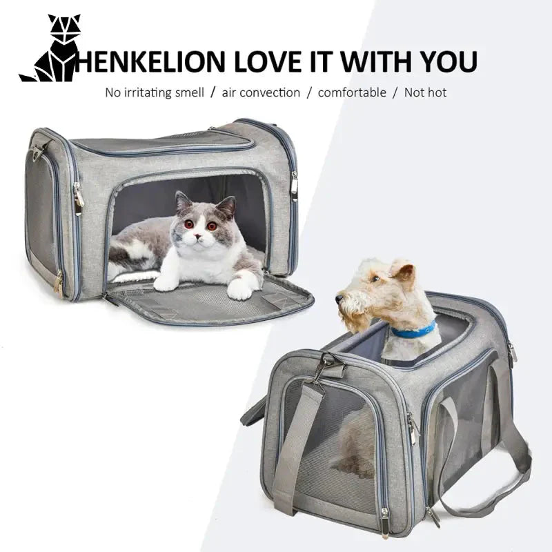 Chat dans un sac de transport pour chien facile à transporter avec l’affiche Kenn Love It With You